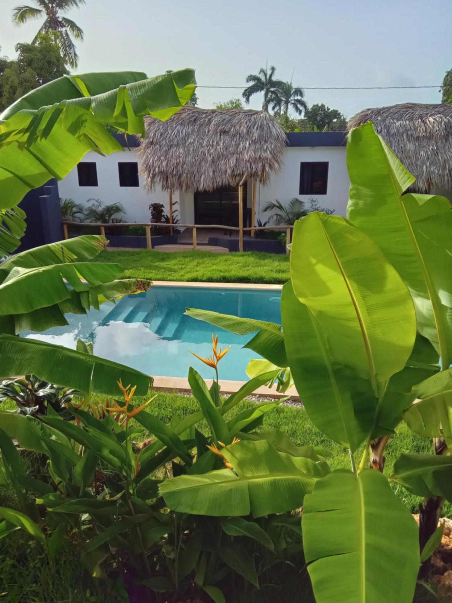 Bungalows Colibri Las Galeras Εξωτερικό φωτογραφία