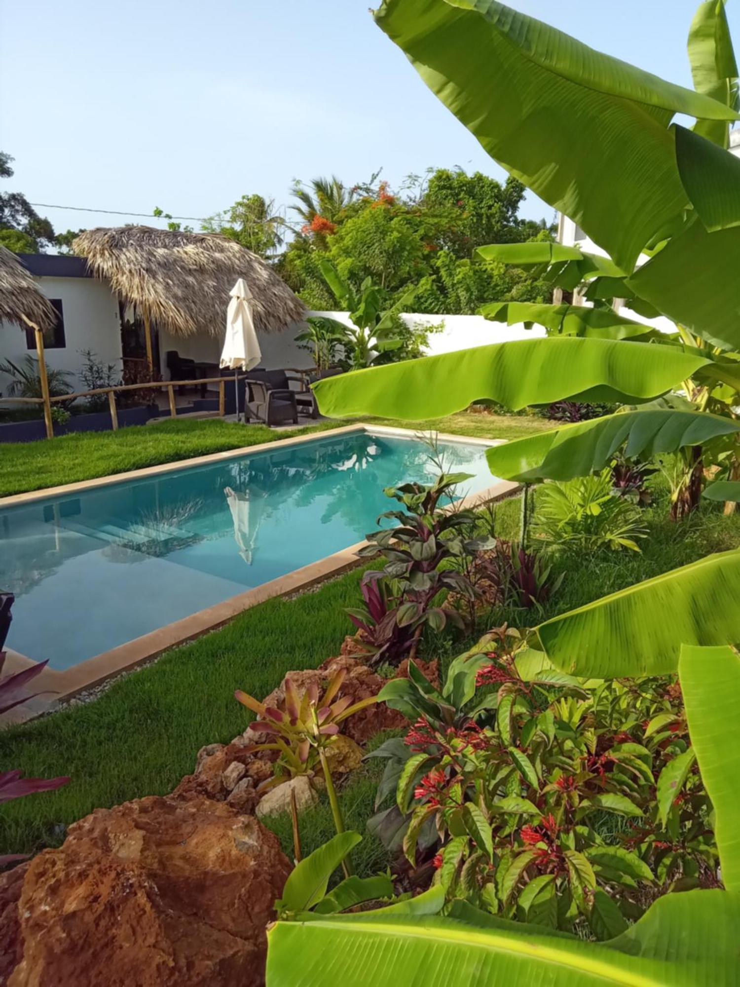 Bungalows Colibri Las Galeras Εξωτερικό φωτογραφία