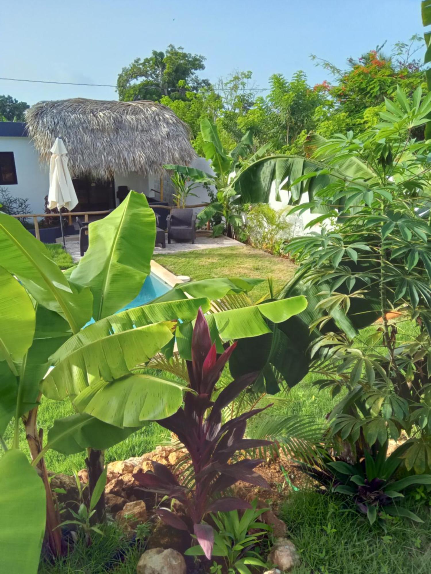 Bungalows Colibri Las Galeras Εξωτερικό φωτογραφία