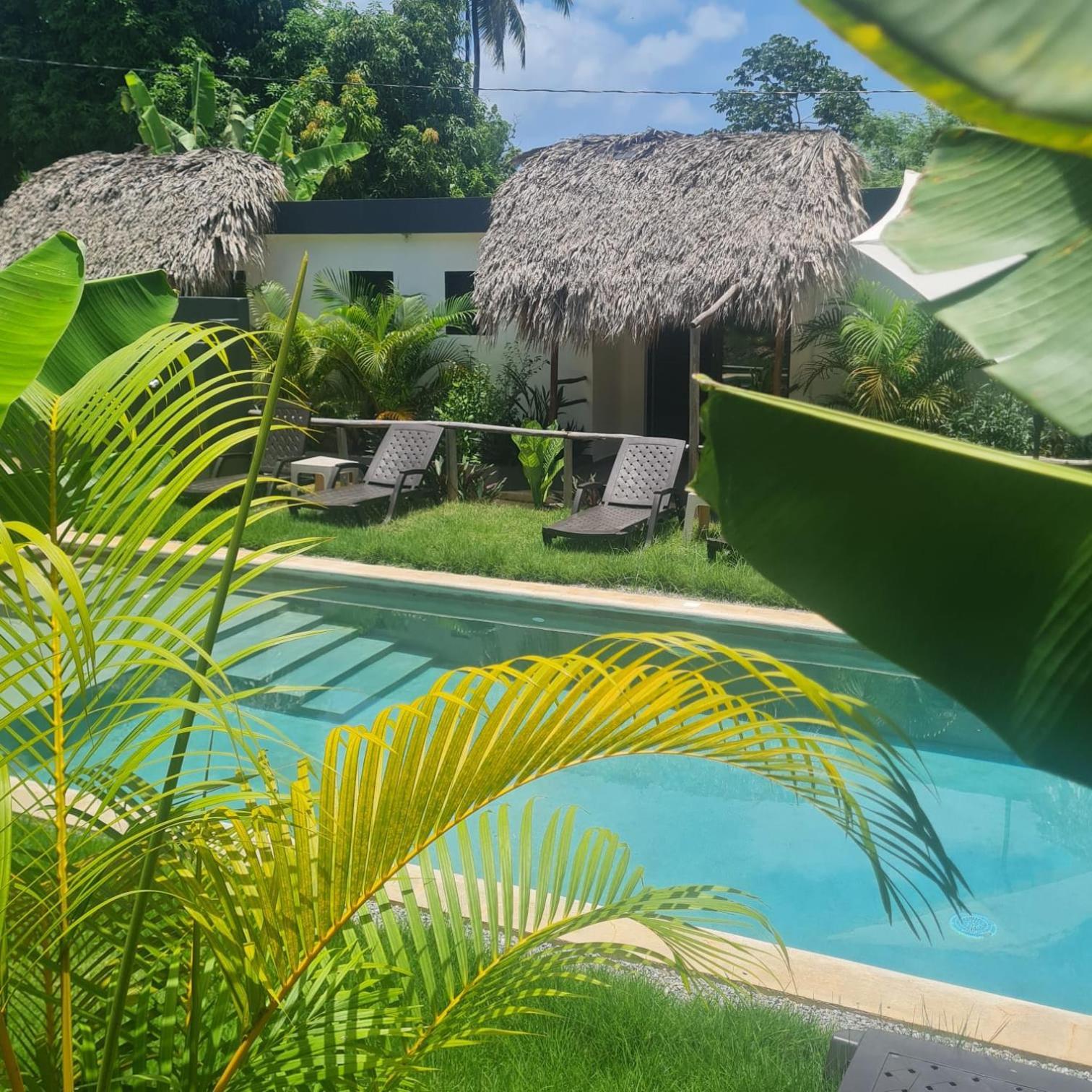 Bungalows Colibri Las Galeras Εξωτερικό φωτογραφία