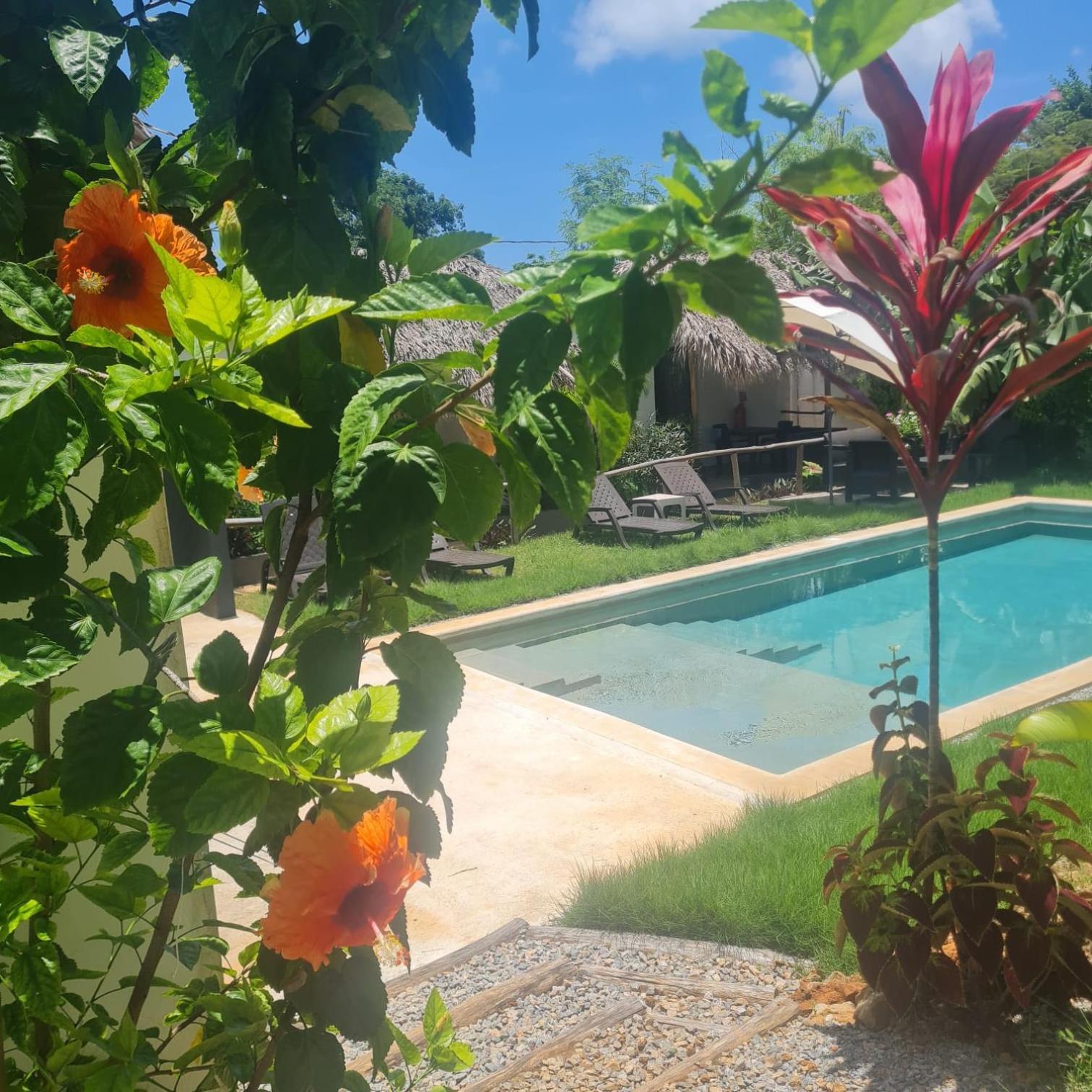 Bungalows Colibri Las Galeras Εξωτερικό φωτογραφία