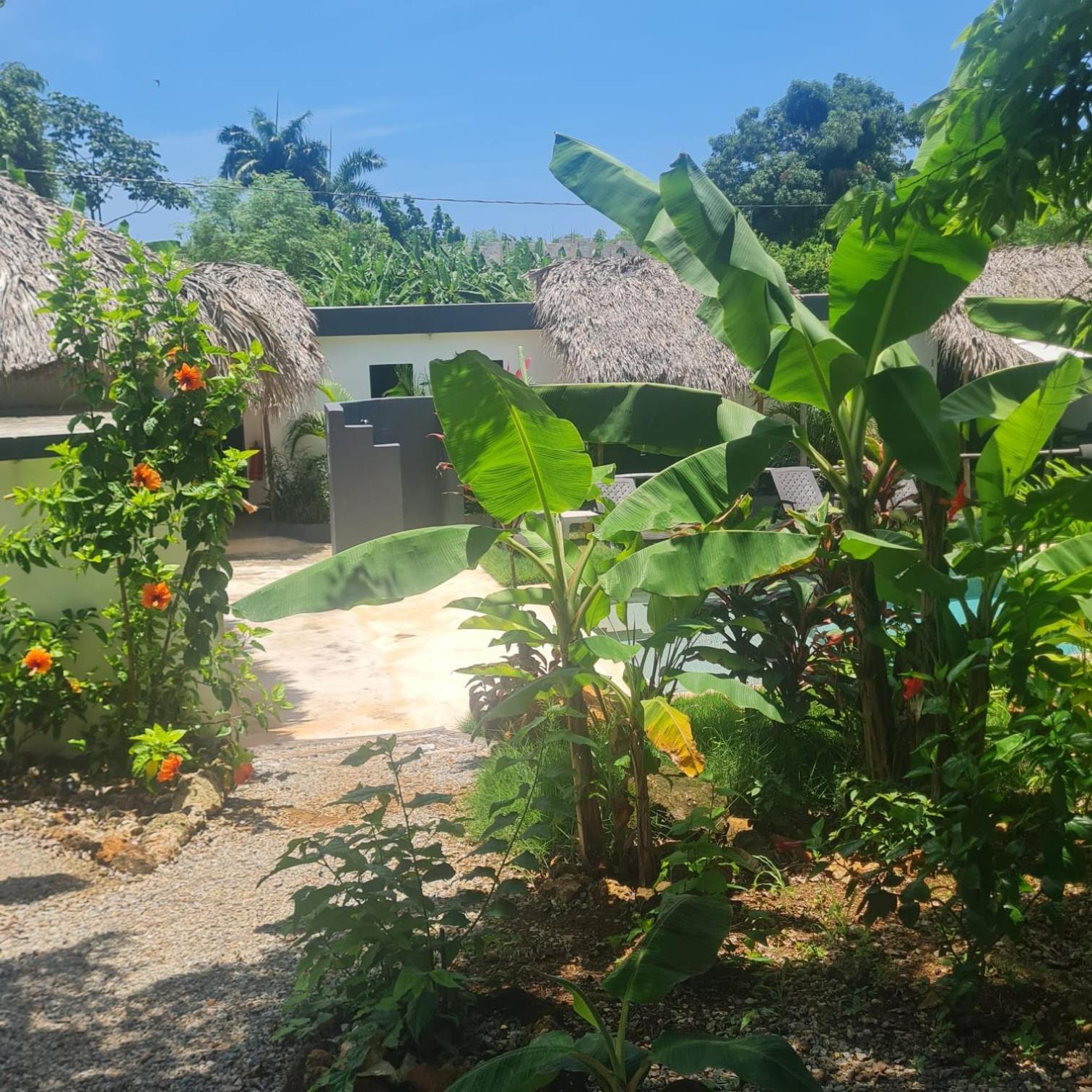 Bungalows Colibri Las Galeras Εξωτερικό φωτογραφία