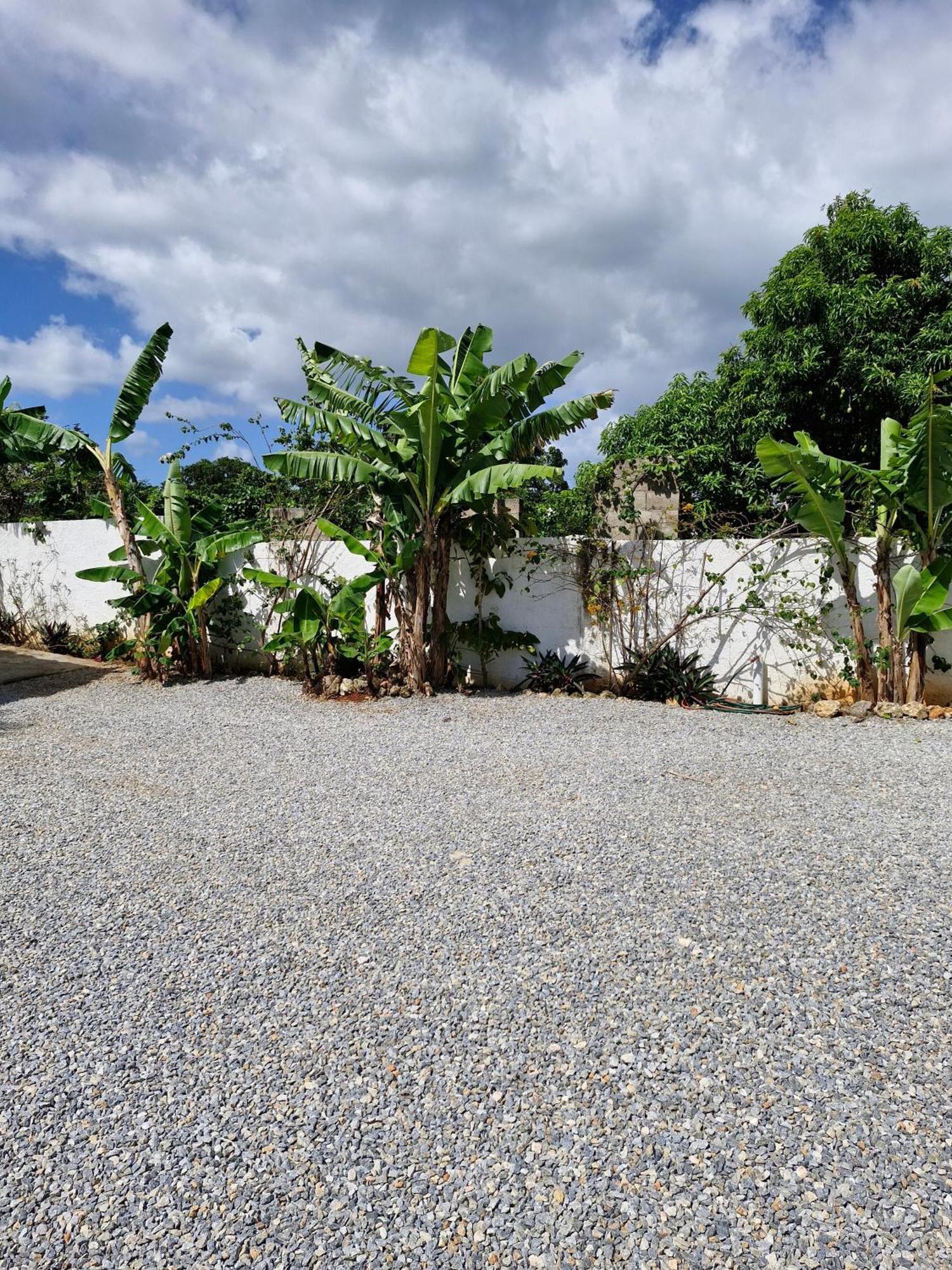 Bungalows Colibri Las Galeras Εξωτερικό φωτογραφία