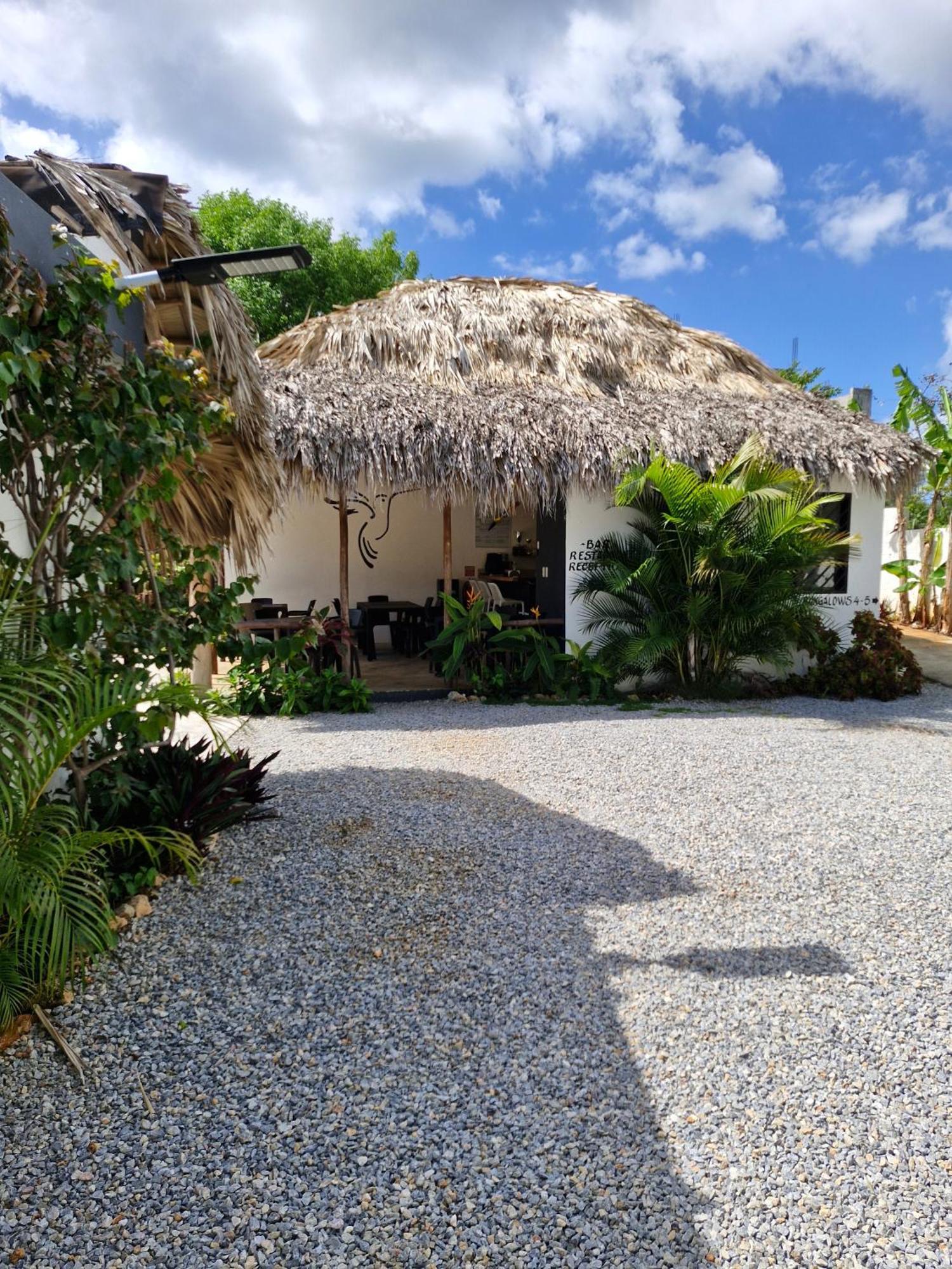 Bungalows Colibri Las Galeras Εξωτερικό φωτογραφία